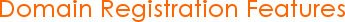 Domain Registration Features