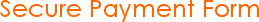 Secure Payment Form